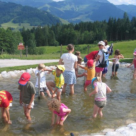 Haus Sommerstein Maria Alm am Steinernen Meer Kültér fotó